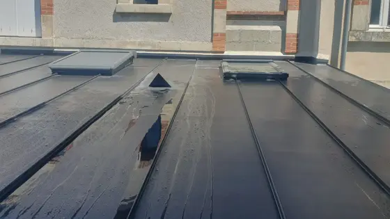 Travaux de zinguerie et étanchéité par MCE Couverture (8)